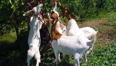 Hospedagem Zilz - Foto 4