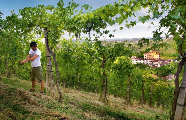 Risveglio in Langa - Photo 6