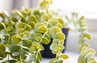 Spacious 4Bed Parking & Wi-Fi - Contractor Stays - Foto 65