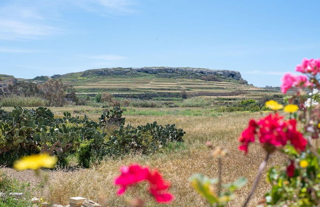 Villayana Gozitan Farmhouse With Pool - Foto 23