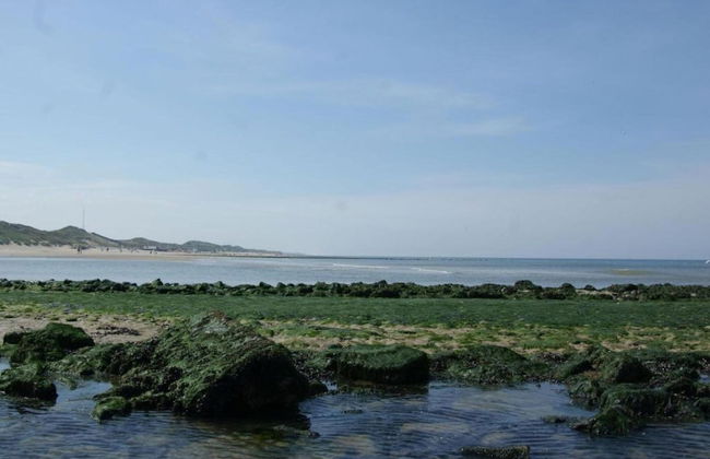 Holiday Home in Schoorl Near Sandy Beaches - Foto 40