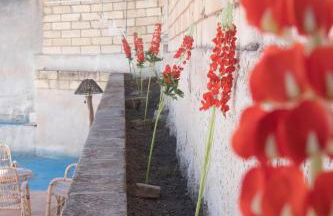 Fondaco del Capo - Foto 16