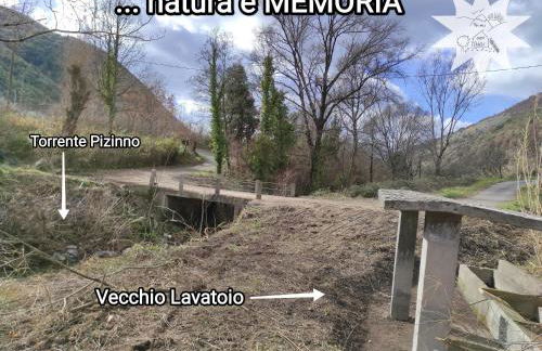 Pizinno CasaPonzi - Foto 21