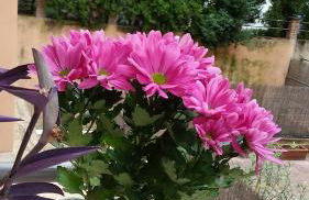 Holiday Home Roma - Photo 52