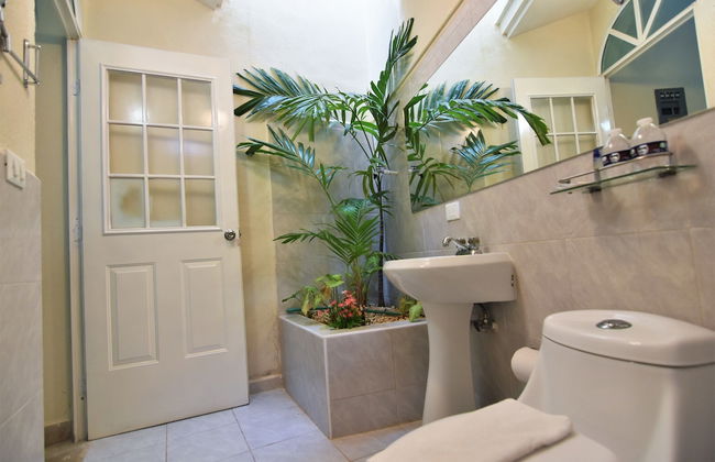 Tulipanes Cancun - Foto 38