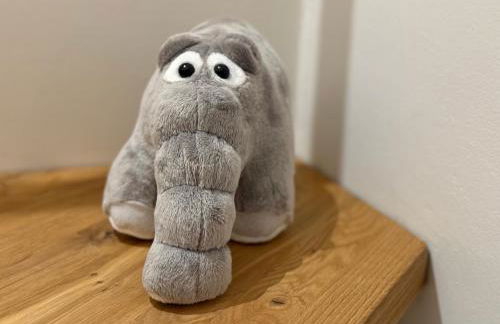 Van Senden 7 Frieda - Photo 25