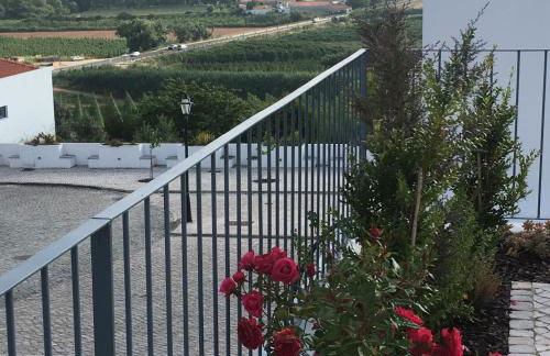 adubai Obidos - Foto 24