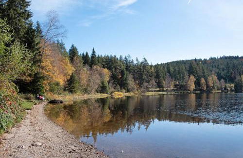 Schwarzwaldchalet Holzperle - Photo 30