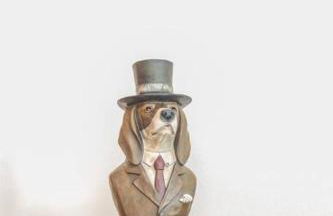 La Serenissima - 15 min to Venice City Center - Free Parking - Photo 41