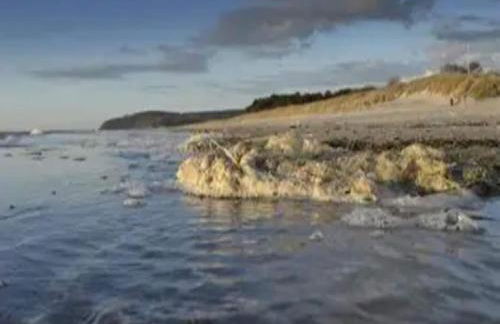 Appartements Post Hiddensee, Vitte - Foto 49