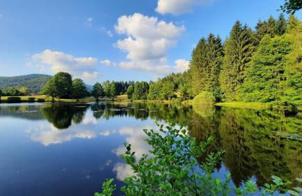 GITE DES 3 JONQUILLES - Foto 30