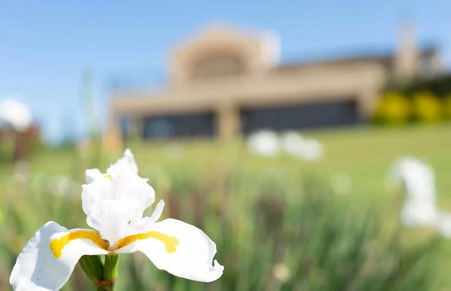 Stockowners Farm House - Photo 18