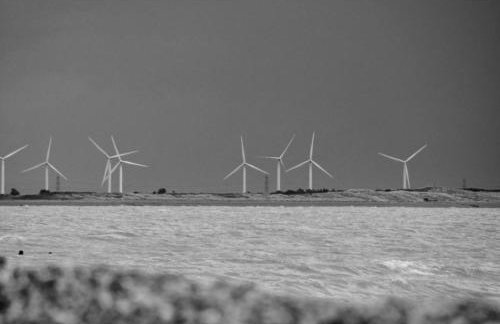Rainbow Petty - Romney Marsh, Kent - Photo 15