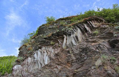 Weingut Rebenhof - Foto 7