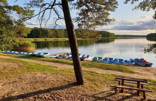 EKO - Domek jezioro Steszewko - Foto 33