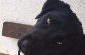 Mayer Burghöfe - Foto 48