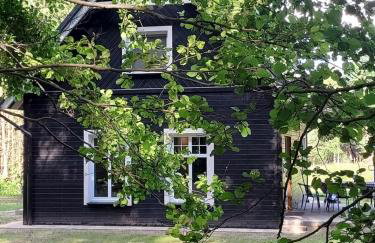 Czarny Dzięcioł - Foto 13