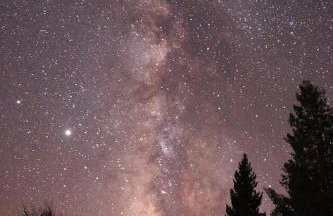 Whistle Pig Retreat at 22 West Cabins and Recreation - Foto 6