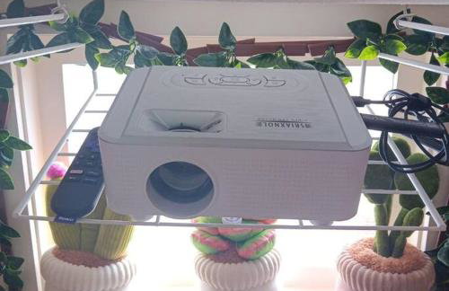 The Blue Herron 1868 Historic District Cottage - Foto 42