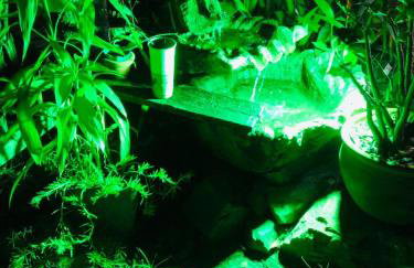 Casa Sonho Meu, Jardim, churrasqueira e Sossego a 5min do Mar - Foto 12