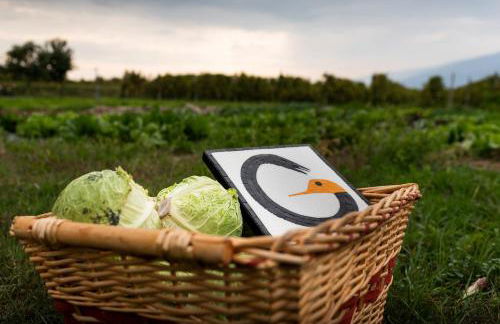 Hotel Agriturismo Al Luogo Del Giulio - Foto 108