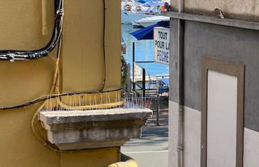 Le Coeur du Port de Golfe Juan - Parking - Clim - Wifi - Foto 10