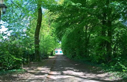 Ferienhaus Hof Amelung - Foto 20