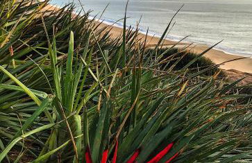 Cliff House - a stunning sea view 2 bed apartment in Porthleven - Foto 20