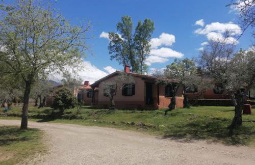 Aldea Vetonia Alojamientos con Encanto Parque de Mascotas-NO SE ACEPTAN EN JULIO Y AGOSTO- Varias zonas infantiles y deportivas "encuentranos y reserva para verano" - Foto 33
