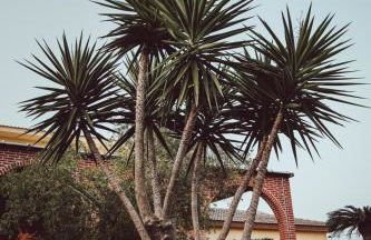 Villa Paquita - Delta de l'Ebre - Foto 12