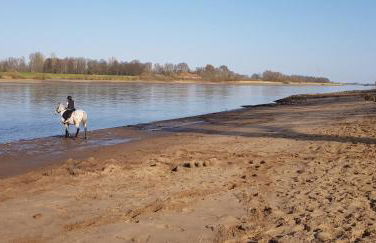 Elbhus Hamburg - Foto 49