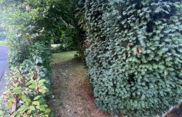 Bürgermeisterhaus mit Berg- & Waldblick - Foto 19