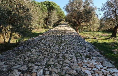 Refúgio da Serra - Foto 11