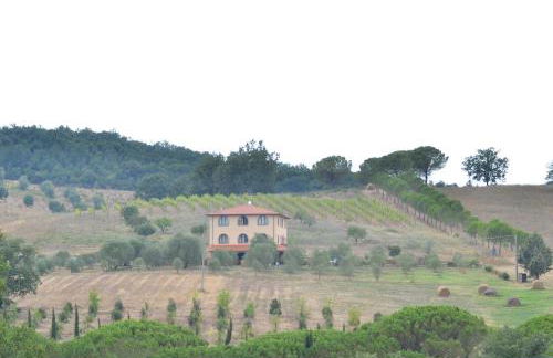 Agriturismo La Steccaia Alta - Foto 14