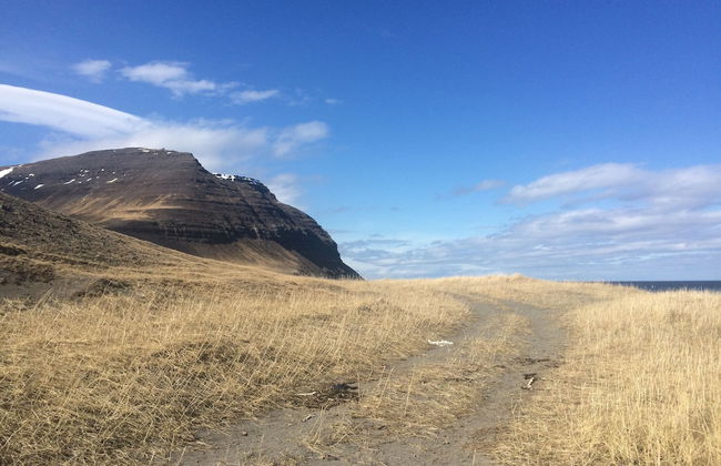 Sæból Farm - Foto 11