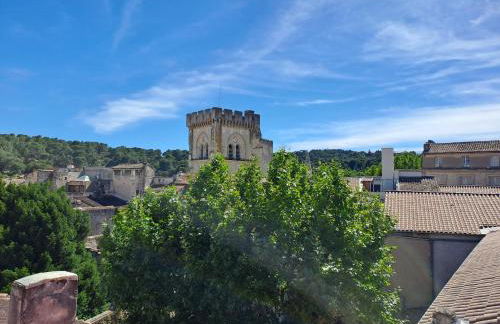 Loft avec patio Villeneuve les Avignon - Foto 51