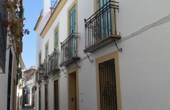 Apartamentos El Aljibe Relax Tourist Cordoba - Foto 16