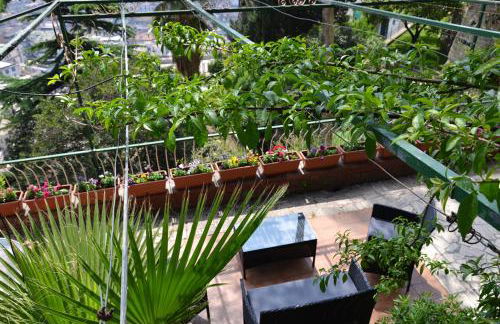 Casa del Cedro - Foto 34