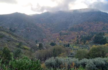 Casa de Aldeia Vale do Mondego - Foto 10