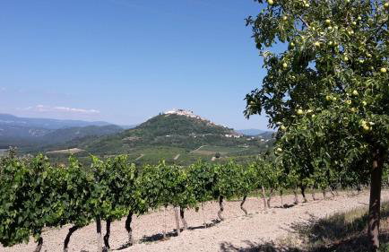 Apartment Bataja - Foto 19