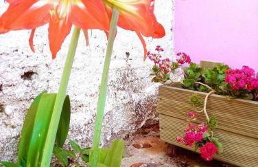 Villa Ágape - Chapada dos Veadeiros - Foto 71