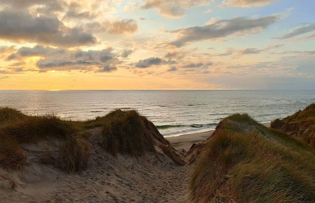 8 Person Holiday Home in Ulfborg - Foto 32