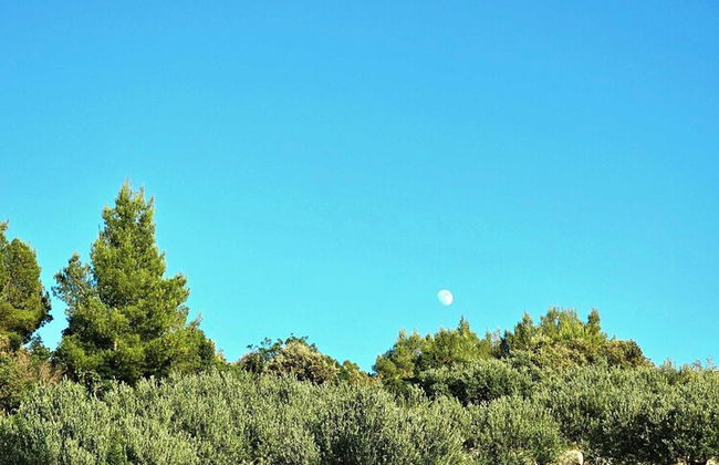 Villa Broč - Foto 75