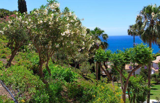 Ladera del Mar - Photo 20