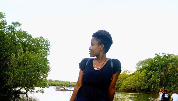 Navigando fra mangrovie e palme