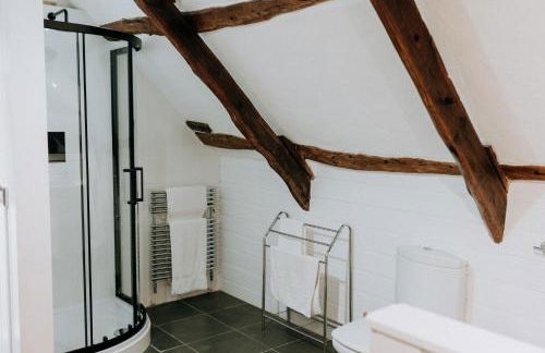 Treleddyn Farmhouse - Photo 79