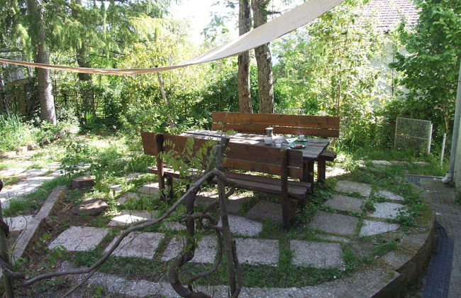 Villa in Sassetta With Private Botanical Garden - Photo 19