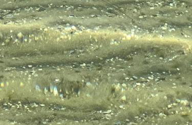 Pé na Areia Beach House - Foto 20