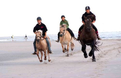 Ferienwohnung "Fuchsbau" - Foto 10