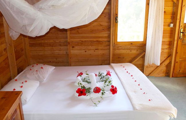 Fullmoon Camping - Photo 5